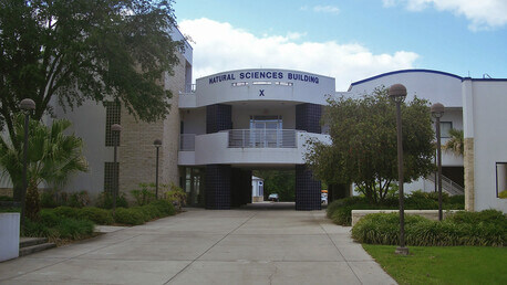 留学声